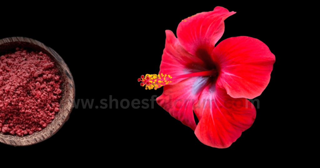 shine shoes without polish by the use of  hibiscus flower
