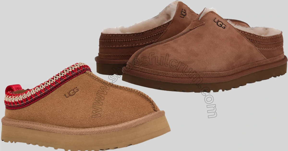 Men tasman slipper hot sale