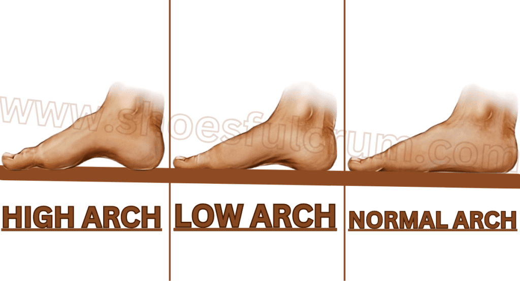 arch support and cushioning groundiеs vs vivobarеfoot