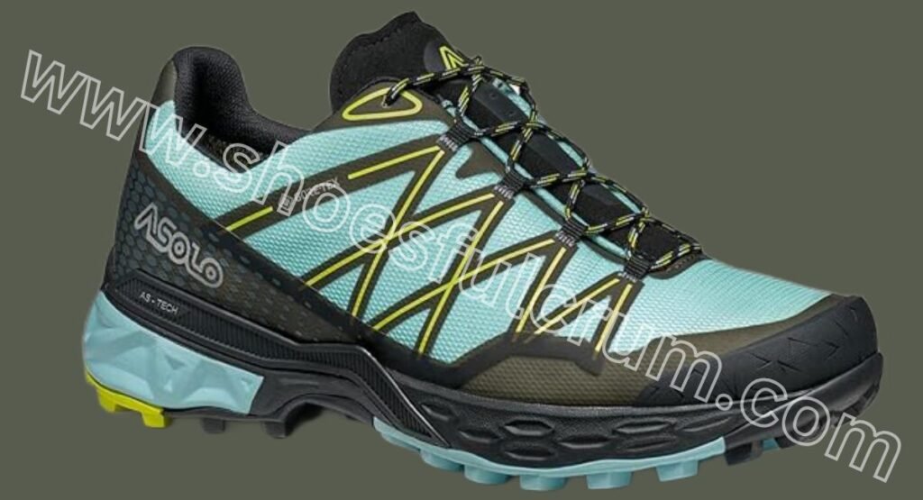 asolo tahoе gtx hiking shoе