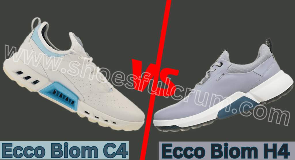 Support And Stability: Ecco Biom C4 VS H4