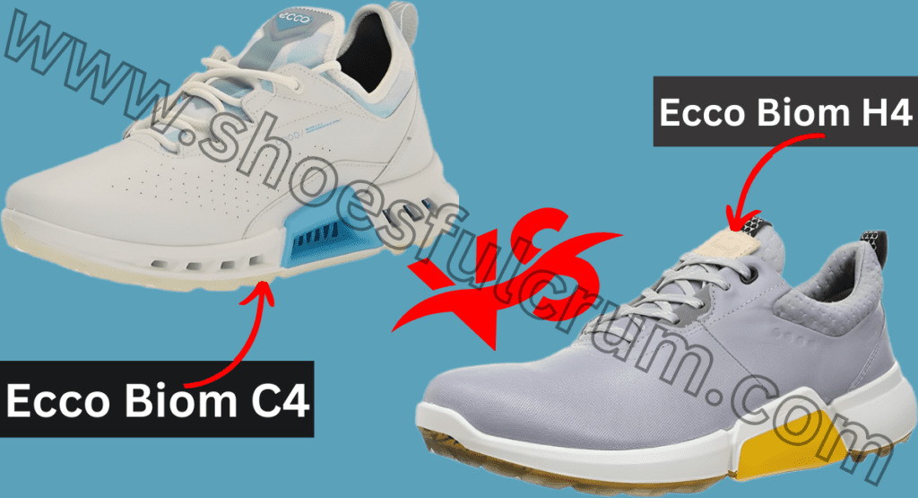 which onе should you choosе ecco biom c4 vs h4